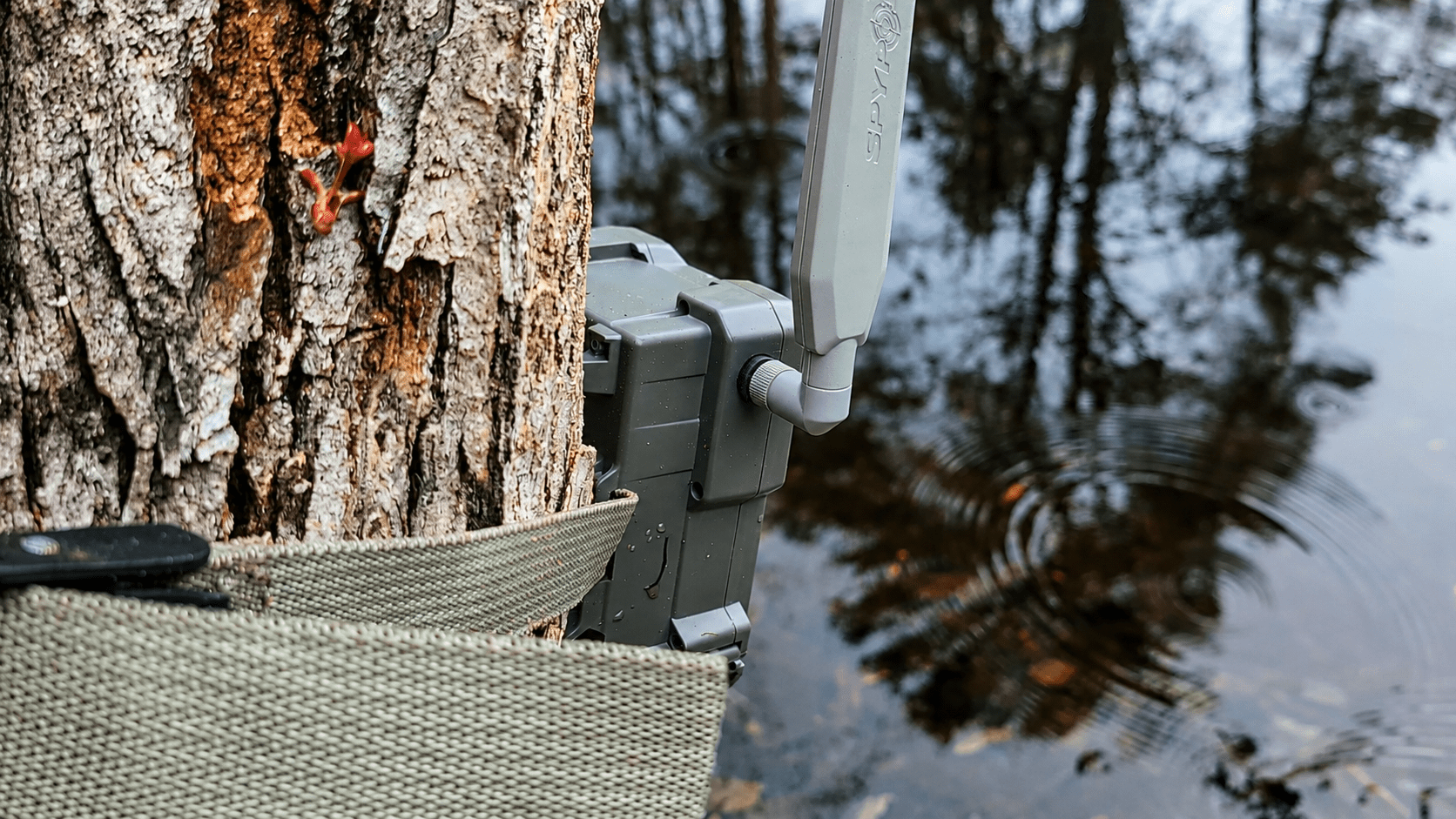 SPYPOINT trail camera at The North River