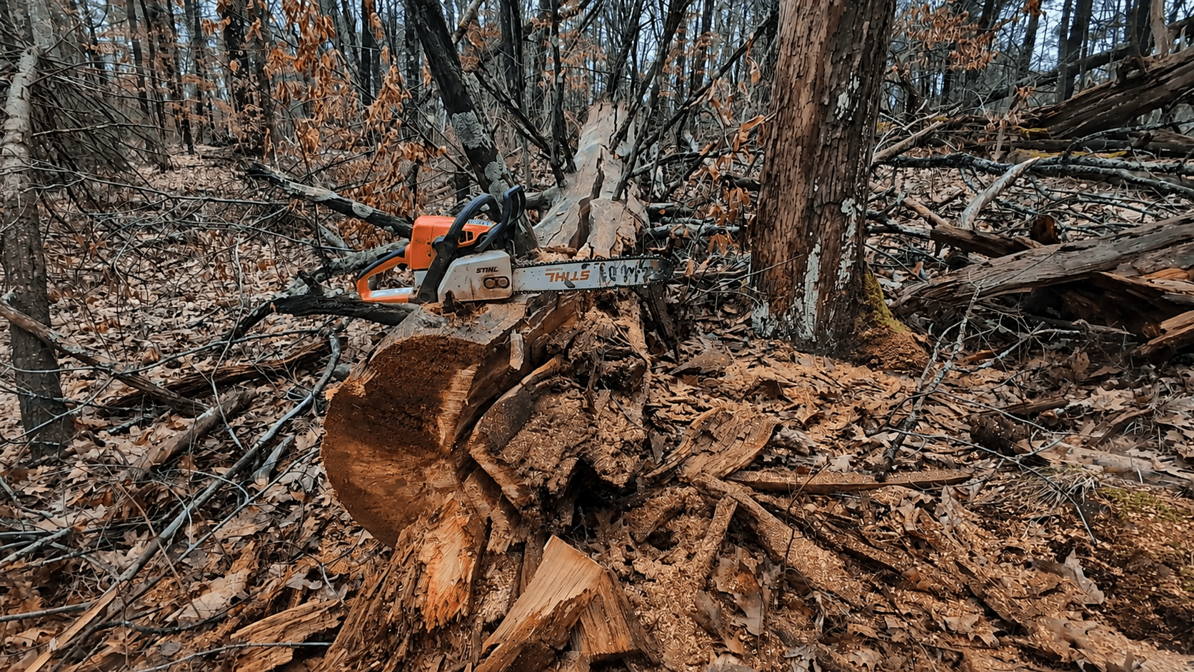 Stihl chainsaw used at The North River